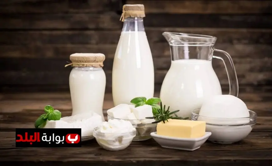 ارتفاع أسعار الألبان في الشتاء أسبابها وآخر المستجدات من شعبة المواد الغذائية