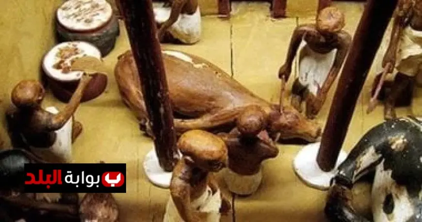 استكشف عادات المصريين الغذائية المثيرة قبل افتتاح المتحف المصري الكبير فيديو