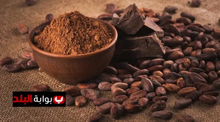 زيادة أسعار الكاكاو بنسبة 5% وسط مخاوف متزايدة بشأن المحاصيل عالميا