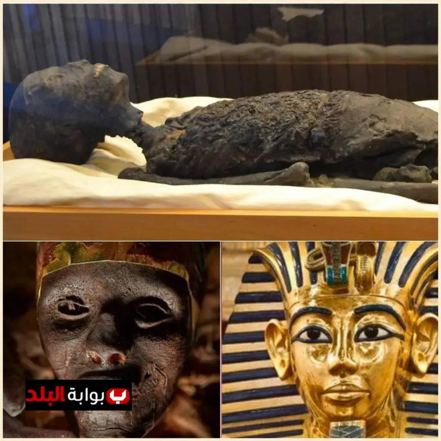 زاهي حواس يكشف حقيقة مقتل توت عنخ آمون وإجابات مثيرة حول وفاته