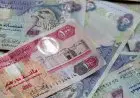 سعر الدرهم الإماراتي مقابل الجنيه المصري اليوم الأحد 2 نوفمبر 2025 في البنوك