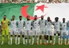 غياب لاعب رئيسي يسبب صدمة لمنتخب الجزائر قبل انطلاق كأس أمم أفريقيا 2025