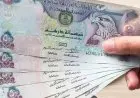 تحديث سعر صرف الدرهم الإماراتي مقابل الجنيه المصري اليوم الأحد 16 نوفمبر 2025