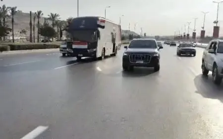 الجيزة تطلق حافلات تجوال احتفاءً بافتتاح المتحف المصري الكبير