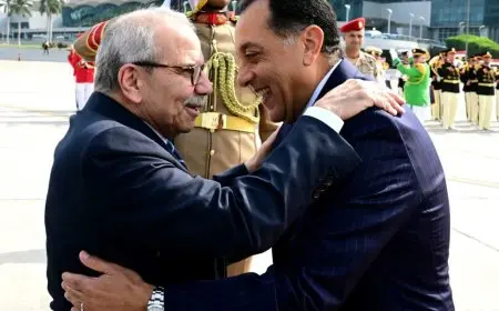 رئيس الوزراء المصري يستقبل رئيس الحكومة اللبناني في مطار القاهرة الدولي