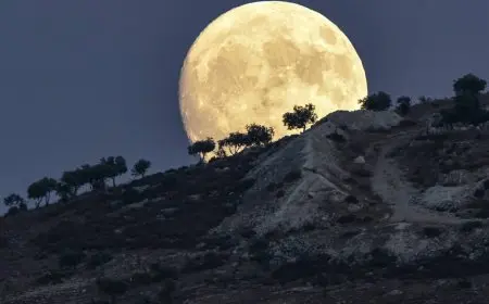 ظاهرة القمر العملاق تضيء سماء مصر تعرف على تفاصيل موعد ظهورها