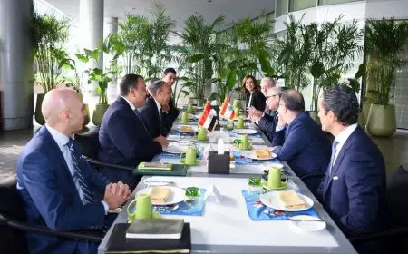 وزير الخارجية يعبر عن دعم مصر الراسخ لسيادة لبنان ووحدته الوطنية