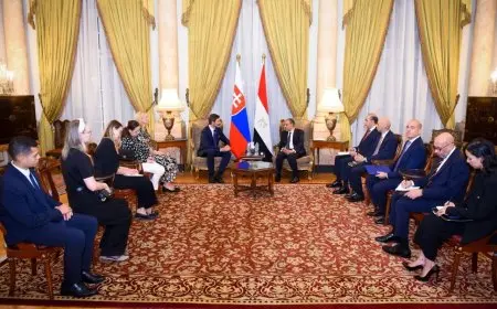 بدر عبد العاطي يتقدم بشكر خاص لنظيره السلوفاكي لدعمه الإنساني في غزة