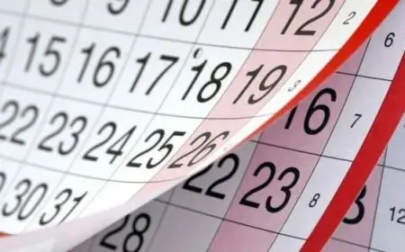 هل تلوح في الأفق عطلات رسمية جديدة في 2025 بعد افتتاح المتحف المصري الكبير؟