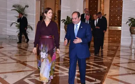 الرئيس السيسي يؤكد تعزيز العلاقات المصرية الدنماركية خلال لقائه مع الملكة ماري