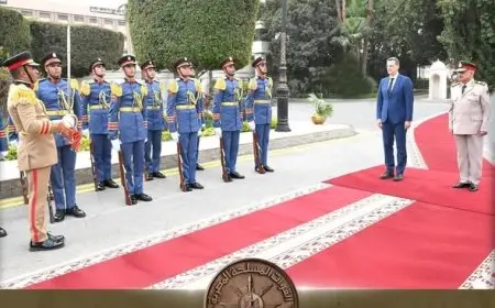 وزير الدفاع المصري يبحث التعاون العسكري مع وزير الدفاع الروماني