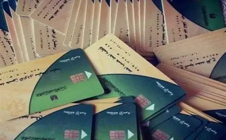 دليل شامل لإضافة المواليد إلى بطاقة التموين 2025 الفئات المستحقة والمستندات اللازمة