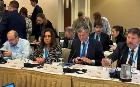 وزيرة التنمية المحلية تكشف عن تقدم مصر اللافت في تحقيق أهداف العمل المناخي