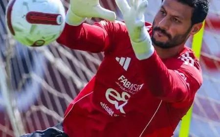 أضا يكشف تفاصيل مشادة تريزيجيه والشناوي بعد التعادل مع المصري