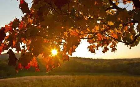 الأرصاد الجوية تحذر من تقلبات جوية حادة بين الأمطار وارتفاع درجات الحرارة خلال فصل الخريف