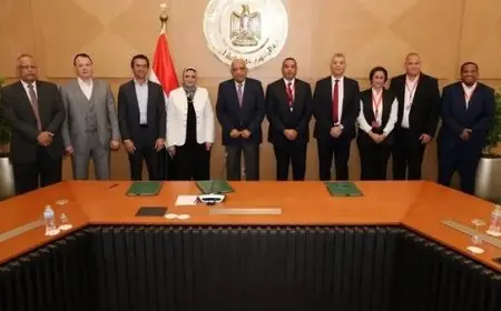 الكهرباء تعزز استثمارها في الطاقة المتجددة لتصل إلى 42% في الشبكة القومية