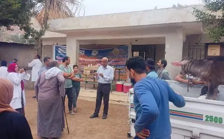 البحوث الزراعية تطلق 3 قوافل بيطرية مجانية في القليوبية لدعم صغار المربين والارتقاء بالثروة الحيوانية