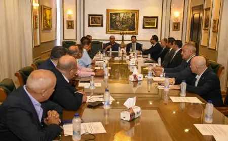 تشكيل وفد قانوني مشترك بين وزارة الرياضة واللجنة الأولمبية لفهم تفاصيل القانون الجديد