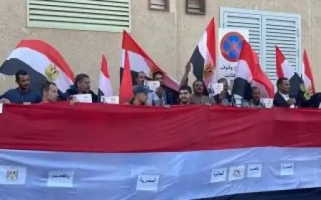 الانتخابات البرلمانية بالخارج تظهر قدرة المصريين على تمثيل وطنهم بصورة مشرفة للعالم فيديو