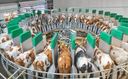 وزارة الزراعة تمنح 774 ترخيصاً جديداً للأنشطة ومشروعات الإنتاج الحيواني والداجني