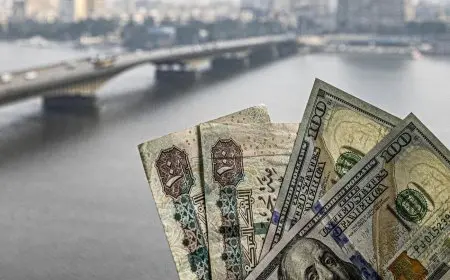 سعر الدولار مقابل الجنيه المصري اليوم السبت 8 نوفمبر 2025 في البنوك اللبنانية