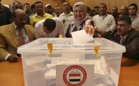 وعي وطني قوي المصريون في الخارج يساهمون في تشكيل مستقبل مصر عبر فيديو مؤثر