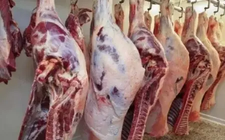 أحدث أسعار اللحوم الحمراء في الأسواق اليوم السبت 8 نوفمبر 2025