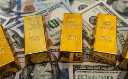 استقرار أسعار الذهب والدولار اليوم السبت 8 نوفمبر 2025 بين الأصفر والأخضر