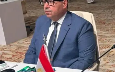 ياسر إدريس يتوج بفوزه بعضوية المكتب التنفيذي للجان الأولمبية العربية للمرة الثانية