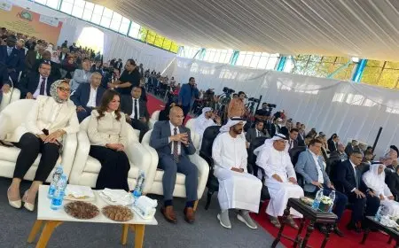 وزير الصناعة يعلن عن افتتاح أكبر مزرعة نخل عالمية بسعة 2.3 مليون نخلة في توشكى والعوينات