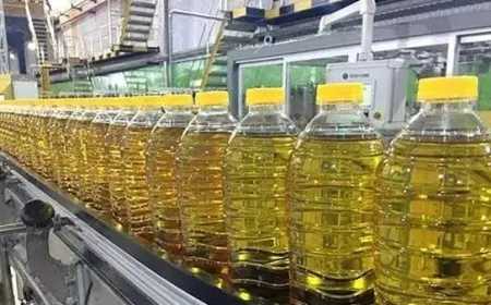 شعبة المواد الغذائية تعلن عن طرح عبوة زيت جديدة بسعر 56 جنيهًا في التموين بدءًا من ديسمبر