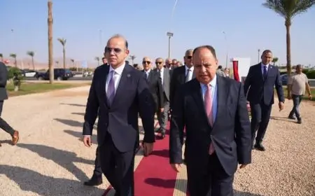 رئيس هيئة الرقابة المالية يساهم في حملة زراعة الأشجار للحد من الانبعاثات الكربونية في شرم الشيخ