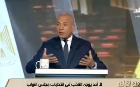 1350 مرشحًا يتنافسون في الانتخابات بالنظام الفردي والقائمة الوطنية تهيمن على 4 قطاعات