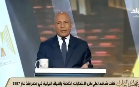 دليل شامل حول كيفية التصويت في انتخابات مجلس النواب 2025