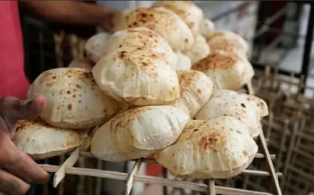 نايب وزير التموين يؤكد استقرار سعر رغيف الخبز المدعم للمستهلك دون أي تغيير