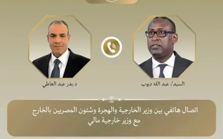 وزير الخارجية المصري ونظيره المالي يتباحثان حول تعزيز العلاقات الثنائية وإنقاذ المختطفين