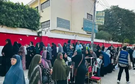 ولاء عزيز يكشف كيف ساهم وعي المواطن في نجاح الانتخابات