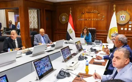 وزيرة التنمية المحلية تدعو المحافظين لمتابعة دقيقة للعملية الانتخابية