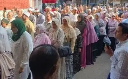 ولاء عزيز تؤكد أهمية دعم المرأة في البرامج الانتخابية للمرشحين