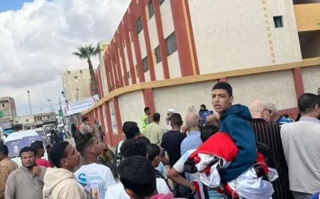 هتافات تحيا مصر تضفي أجواء حماسية على انتخابات مجلس النواب 2025