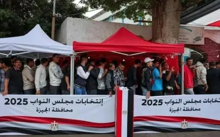 إسلام عفيفي يؤكد نزاهة انتخابات مجلس النواب ويكشف خلوها من المخالفات