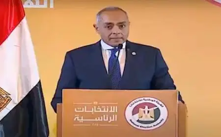 القاضي أحمد بنداري يؤكد على ضرورة إغلاق اللجان الانتخابية في 14 محافظة