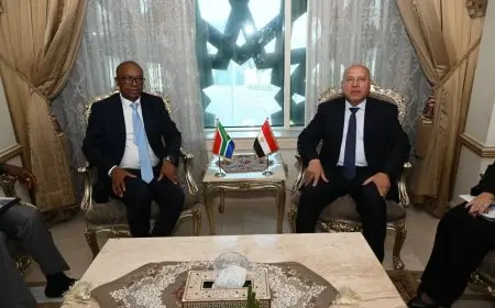 كامل الوزير يناقش مع وزير الصناعة الجنوب إفريقي سبل تعزيز التعاون المشترك