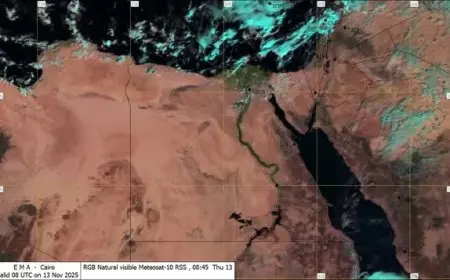 الأرصاد الجوية تتوقع تكاثر السحب وأمطار متوقعة في القاهرة الكبرى والسواحل الشمالية