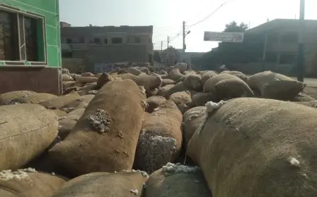 ضبط مستودع كبير لتخزين وبيع القطن بشكل غير قانوني في الشرقية