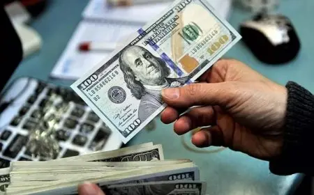 تحديث أسعار صرف الدولار مقابل الجنيه في يوم الجمعة 14 نوفمبر 2025