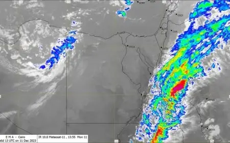 الأرصاد الجوية تحذر من توقعات استمرار الأمطار الرعدية في هذه المحافظات