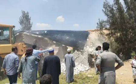 إزالة 164 تعديًا في فرع رشيد تشمل مباني مخالفة وأعمال ردم في المجرى المائي للنهر