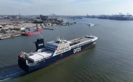 ميناء دمياط يرحب بـ 25 سفينة جديدة في يوم واحد