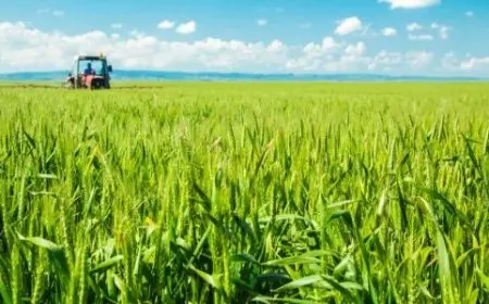 الزراعة تطلق توزيع 75 سطارة مطورة لتعزيز كفاءة زراعة القمح على مصاطب